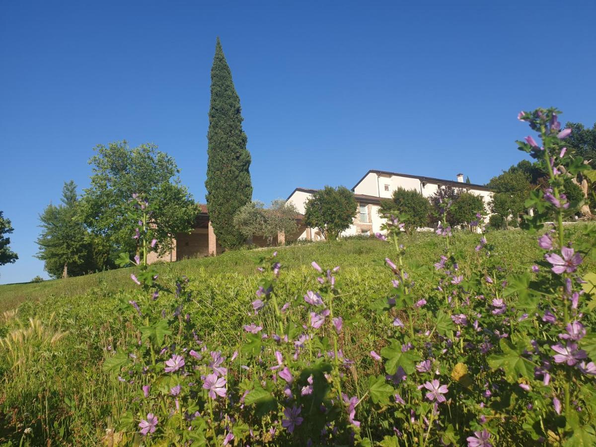 Agriturismo Relais Maddalene101 Vicenza Exterior photo